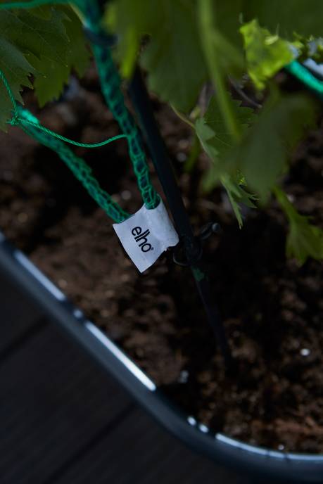 green basics veggie wall 80cm living black